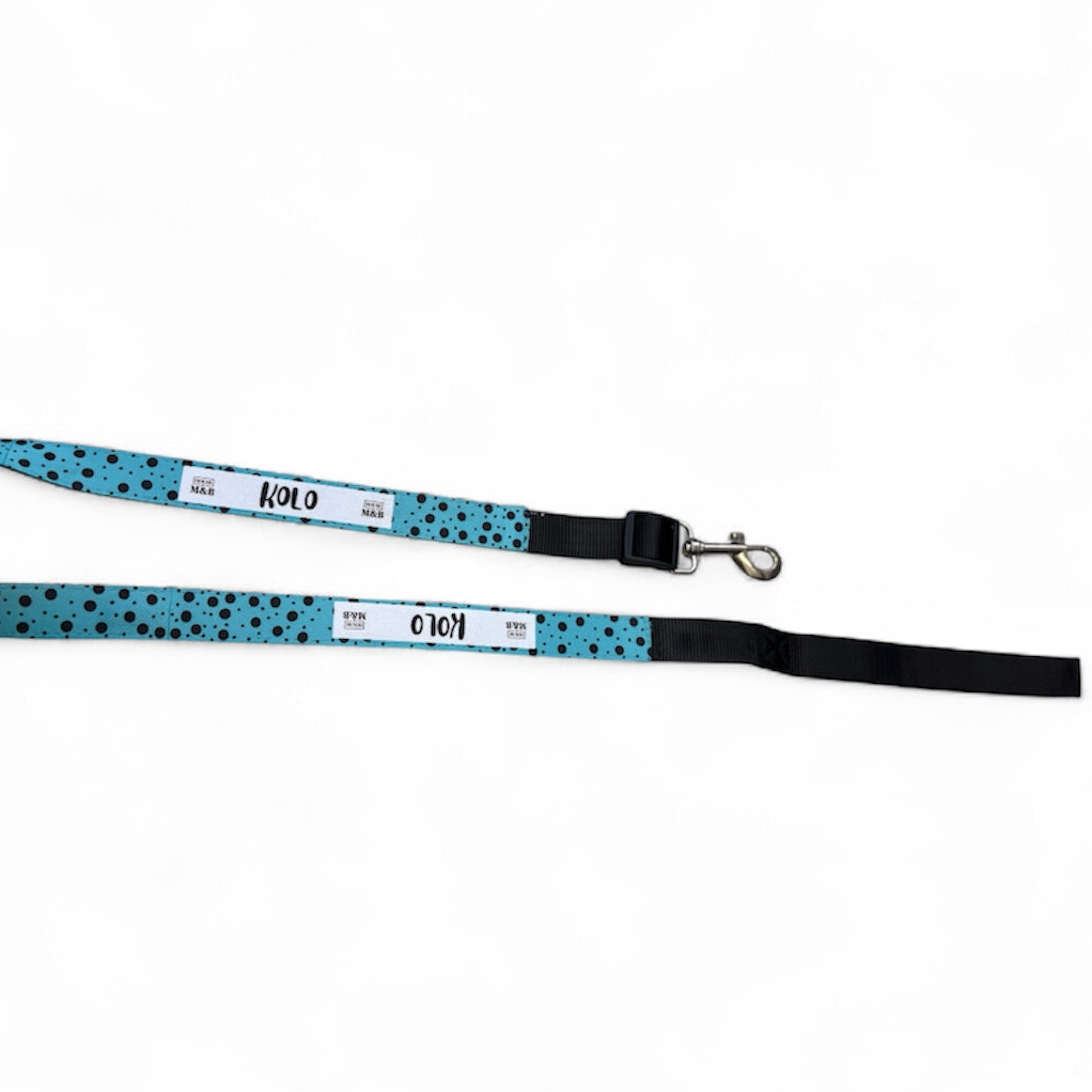 Blue Personalised Lead