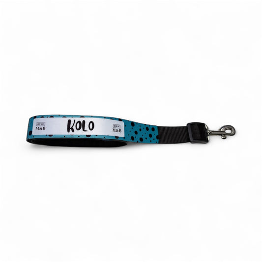 Blue Personalised Lead