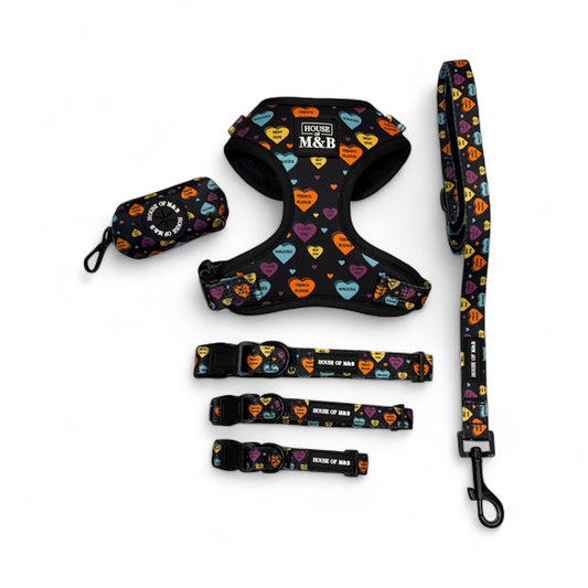 Love Hearts Adjustable Harness