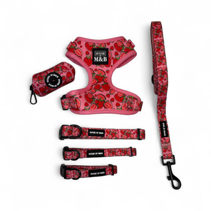 Strawberries Adjustable Harness